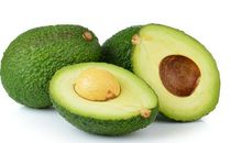 孩子们开心玩耍的句子 形容孩子简单快乐的句子