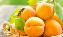 写关于开心的句子 形容开心快乐的句子描写