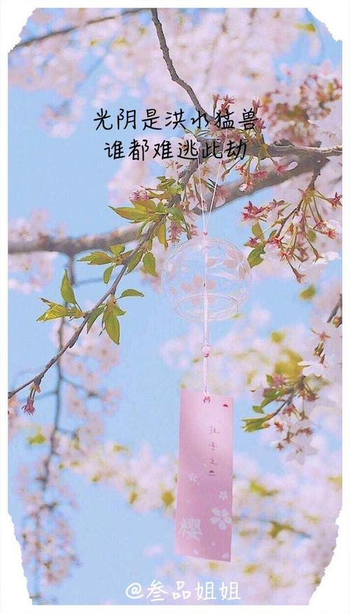 朋友圈干净句子