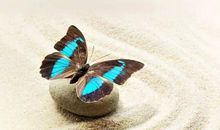 朋友圈正能量点赞说说