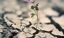 关于形容开心的句子和词 形容开心的好词好句好段