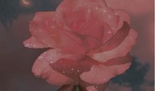 刚发就会被秒赞的说说 能让人狂赞的说说句子