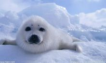 赞美歌颂亲情的句子 赞美亲情的优美语句