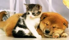 人到中年亲情的感触句子 人到中年对亲情的感悟