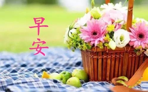 朋友早上好
