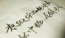 优美短句10字以内