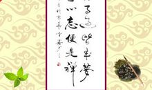 道教名言名句禅语