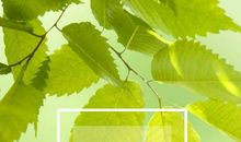 冬季早安朋友圈说说