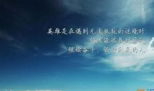 很现实的简短个性签名