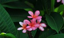 陪孩子开心的一天的句子 陪伴孩子开心说说心情