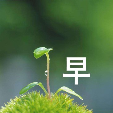 十月早上好句子十月早上好