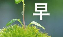 十月早上好的句子 10月早安心语正能量