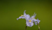 表现一个人的开心句子 形容一个人开心的句子精选