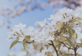 完成测试句子后的快乐句子