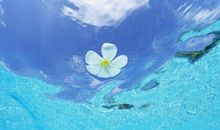 遗忘不开心的句子 忘掉过去不开心的句子