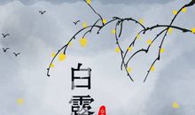 白露节气唯美祝福语大全