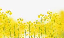 自己不开心的句子 伤感自己不开心的句子