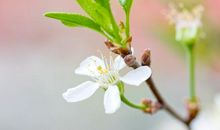 唱歌开心的句子 唱歌让人快乐心情说说