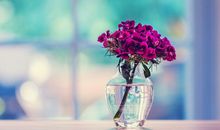 形容爸爸的爱开心的句子 形容爱爸爸的说说