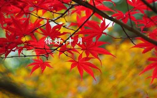 十月您好，可能所有美好的事情都意外发生1