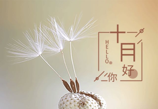 九月，十月见，谈论你的朋友圈