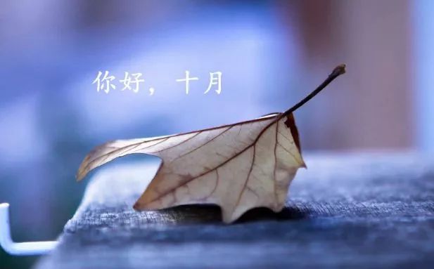 9月，10月见，谈谈你的朋友圈2