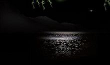 夜晚伤感的说说