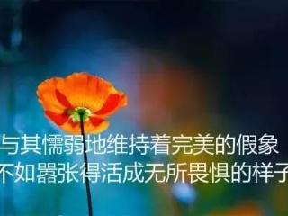 极冷的诗句