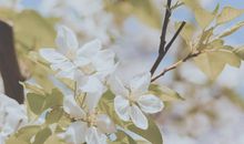 愿你开心快乐每一天的句子 愿你每天开心的句子