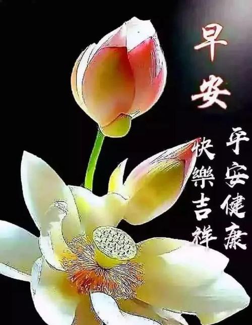 早上好问候
