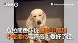 在半夜醒来为我丈夫做晚餐