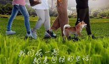 向往生活的句子