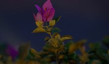 特别现实的讽刺性句子