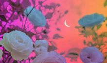 一句话打动人心的爱情说说句子