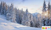 形容冬天的环境描写