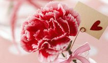 母亲节祝福语10字