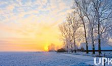 描写冬天凄凉景色段落