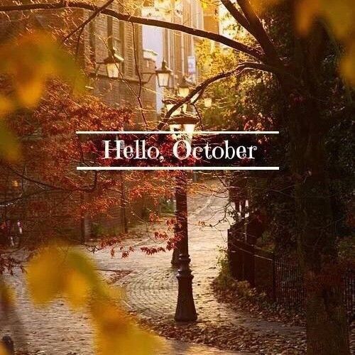 您好10月，送去9月迎来10月2日的判决
