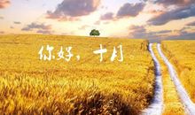 十月你好经典语录