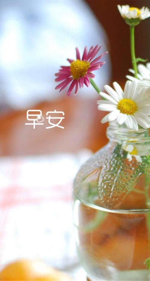 早安英语句