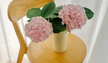 适合发朋友圈的干净温柔文案