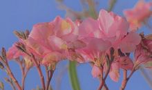 说说心情短语人生感悟的句子