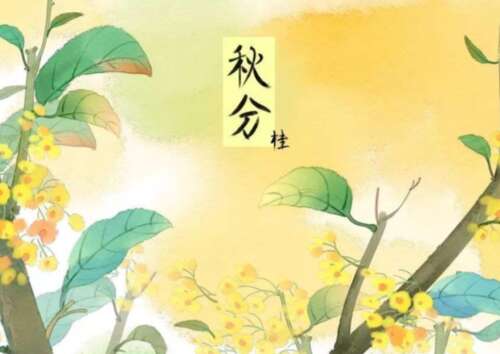 描写秋分的审美诗