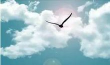 开心一下的说说