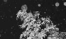 失恋结束感情的句子