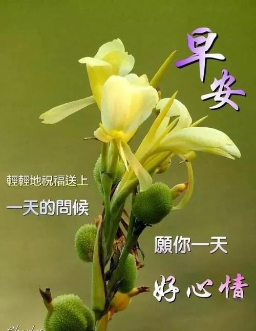 销售问候和关怀词