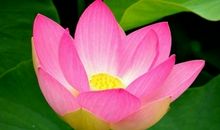 男人成熟对感情的感慨句子