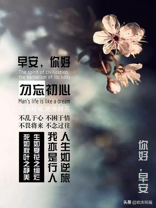 好的句子可以在2020年的晚上传递瞬间
