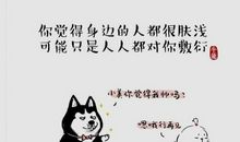 发朋友圈喝酒搞笑句子