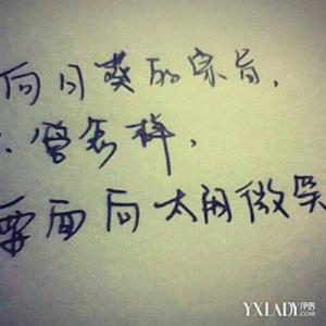 社会语录